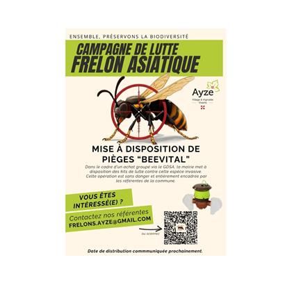 Lutte contre le frelon asiatique : devenez acteur !Recevez un piège “BEEVITAL”