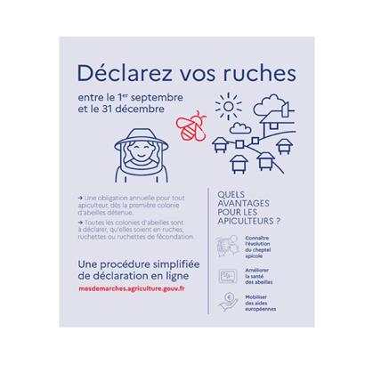 Déclarez vos ruches : une démarche simple et essentielle !